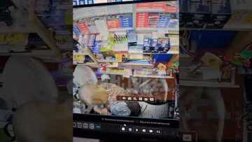 Ληστές με την απειλή μαχαιριών άδειασαν το ταμείο περιπτέρου στη Νέα Ιωνία