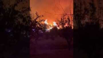 Ωρωπός - Φωτιά (3)