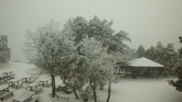 Καιρός: Συνεχίζεται και σήμερα το τσουχτερό κρύο σε όλη τη χώρα - Στα λευκά Πάρνηθα, Χανιά και Εύβοια