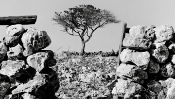 Η φωτογραφική έκθεση του Μιχάλη Μπόσκου «ξερική» ταξιδεύει στη Σχοινούσα - Δείτε εικόνες