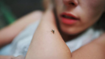 Ιός Δυτικού Νείλου: Οι δύο πρώτοι θάνατοι στην Ελλάδα - Σε ποιες περιοχές έχουν καταγραφεί κρούσματα