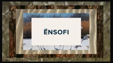 Ο Ομιλος ΤΕMES του Costa Navarino και του The Illisian γίνεται ĒNSOFI