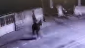 Διαρρήκτης στην Τουρκία άνοιξε κοσμηματοπωλείο με κλαρκ και διέφυγε με... γαϊδούρι, δείτε βίντεο