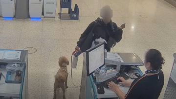 Το βίντεο που συγκίνησε το Λας Βέγκας: Άκαρδη τουρίστρια παράτησε το κουτάβι της στο αεροδρόμιο και συνελήφθη, δείτε βίντεο