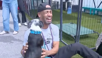 Συγκινητικό βίντεο: Βρήκε τον σκύλο του τρία χρόνια αφού τον είχαν κλέψει  στο Λος Άντζελες και ξέσπασε σε λυγμούς, δείτε βίντεο