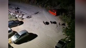 Αγέλη 20 σκύλων αναστατώνει περιοχές της Θεσσαλονίκης, «φοβόμαστε να κυκλοφορήσουμε» λένε κάτοικοι