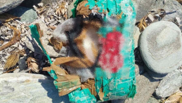 Σε βράχια και θάλασσα ψάχνουν για ναρκωτικά στην Άνδρο, κατασχέθηκαν 2,3 κιλά πιθανής κοκαΐνης