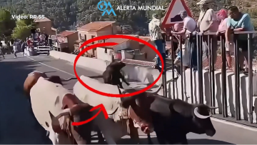 Ταύρος σκότωσε 64χρονη σε φεστιβάλ στην Ισπανία, βίντεο από την στιγμή της επίθεσης