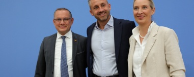 Μαζικές απελάσεις, σχολεία χωρίς Pride και «πατριωτική» τέχνη: Το όραμα του AfD για τη Γερμανία 