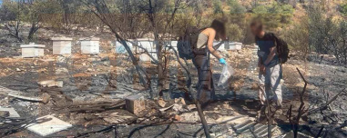 Από αδήλωτα μελίσσια η καταστροφική φωτιά στον Υμηττό - Φωτογραφίες ντοκουμέντα από το σημείο
