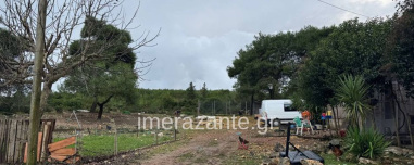 Η οικογένεια είχε βρει αδέσποτο το πίτμπουλ και το φιλοξενούσε μέχρι να δοθεί για υιοθεσία: Πώς έγινε η τραγωδία με τον 2χρονο στη Ζάκυνθο