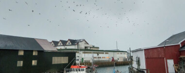 Το νησί που κατάργησε τον χρόνο, οι κάτοικοι ζουν χωρίς ρολόγια και ωράριο
