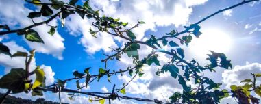 Καιρός… Ιανός: Από τους -10 στους 20 βαθμούς Κελσίου μέσα σε 48 ώρες