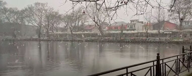 Ιωάννινα στα λευκά: Χιονίζει στο κέντρο της πόλης, μαγευτικές εικόνες από τα ορεινά της Κόνιτσας