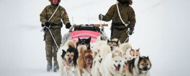 Η Sirius Dog Sled Patrol δεν είναι απλά... δυο έλκηθρα με σκύλους: Η επίλεκτη μονάδα της Γροιλανδίας κάνει πέντε μήνες περιπολία ακόμα και στους -55 βαθμούς Κελσίου