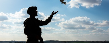 Πώς η Ρωσία χρησιμοποιεί νευρωνικά τσιπ για να μετατρέπει ζωντανά περιστέρια σε drones για παρακολούθηση στόχων