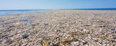 Το «νησί» που δεν θα έπρεπε να υπάρχει: Πώς τα σκουπίδια δημιούργησαν ένα επικίνδυνο οικοσύστημα στον Ειρηνικό Ωκεανό