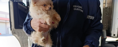 Ναρκωτικά, λαθραία τσιγάρα, αδήλωτο συνάλλαγμα σε μετρητά και… ρούβλια εντόπισε η ΑΑΔΕ: Σαρωτικοί έλεγχοι με X-Ray και τον Έλβις