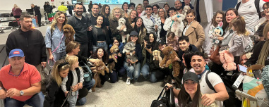 Τα «σκυλιά του πολέμου» επέστρεψαν από το Ντουμπάι: Ολοκληρώθηκε η επιχείρηση «Κιβωτός» για 100 ζωάκια και τους ιδιοκτήτες τους (βίντεο και φωτογραφίες)