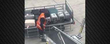 Βίντεο: Εργαζόμενος στο Ελευθέριος Βενιζέλος υποδέχτηκε με τρυφερότητα γάτες από τον χώρο αποσκευών του αεροπλάνου και έγινε viral στο TikTok