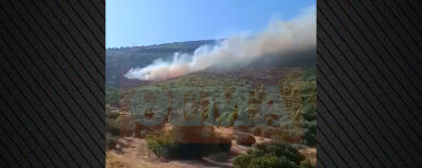 Βίντεο ντοκουμέντο από τη Βοιωτία: Τα πρώτα δευτερόλεπτα από το σημείο μηδέν όπου ξέσπασε η πυρκαγιά – Στο ίδιο σημείο είχε πιάσει φωτιά και πριν από ένα μήνα
