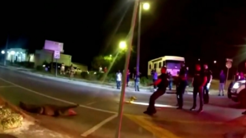 Η στιγμή που αστυνομικός στη Φλόριντα πέφτει πάνω σε αλιγάτορα για να τον ακινητοποιήσει (vid)