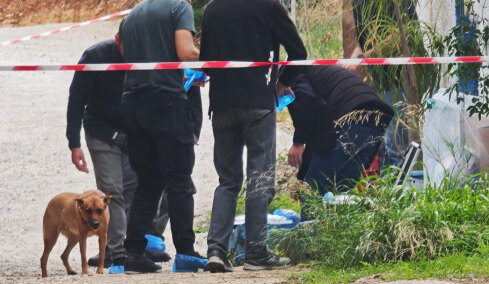Άγρια δολοφονία ηλικιωμένης στη Σαλαμίνα: Τη χτύπησαν με μπουκάλι στο κεφάλι - Έχει και τραύματα από μαχαίρι στα χέρια της