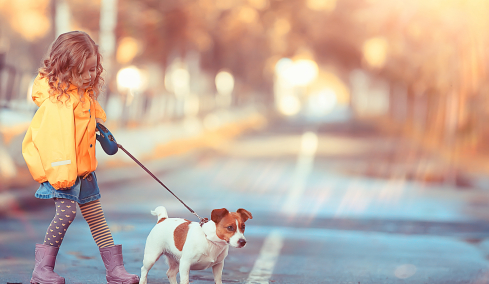 Δείτε πώς το παιδί σας μπορεί να συμμετέχει στο Woof Festival | Topetmou.gr στην εκπαίδευση του σκύλου