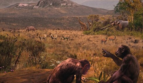 Η ανακάλυψη που ανατρέπει όσα ξέραμε για τους πρώτους ανθρώπους και η αμφιλεγόμενη θεωρία για την Ευρώπη
