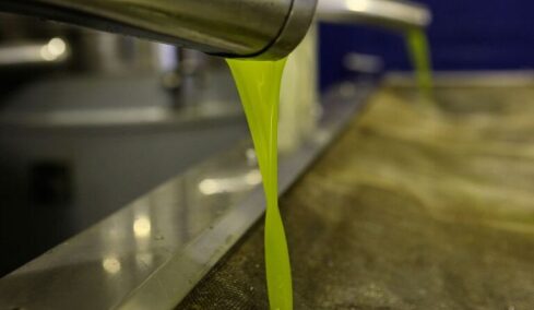 Έκλεψε πάνω από 800 κιλά ελαιόλαδο και 35 κιλά μέλι από αποθήκες στην Αττική, συνελήφθη 48χρονος 