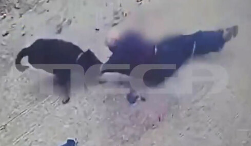 Η στιγμή που το ροτβάιλερ επιτίθεται στον ιδιοκτήτη του στην Καλαμάτα - Ο σκύλος τον έσερνε, τον δάγκωνε με μανία και τον τραυμάτισε σοβαρά