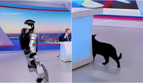 «Αναστάτωση» στο πλατό του ΣΚΑΪ με το ρομπότ Σοφία, τρόμαξε ο γάτος της εκπομπής, πήγε να κρυφτεί και εν τέλει έφυγε
