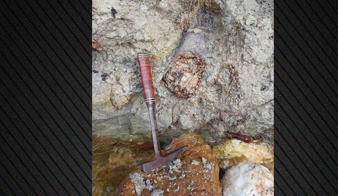 Εντυπωσιακή ανακάλυψη στον Λαγκαδά: Εντοπίστηκε απολιθωμένος χαυλιόδοντας από Μαμούθ του Νότου στα Νέα Καλίνδοια 