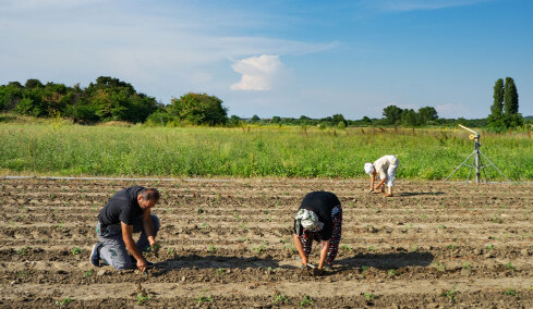 Νέες ρυθμίσεις για τους αγρότες: Παράταση έως το τέλος του έτους για χρηματοδότηση και αγροτικά ακίνητα