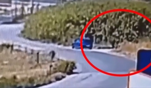 Κακουργηματική δίωξη στον 59χρονο για έξι φωτιές στη Σίνδο: «Τις έβαζα για να ξεδίνω από τη δουλειά» 