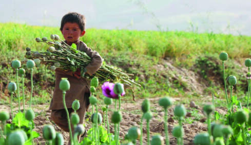 Το απόρρητο πρόγραμμα των 9 δισ. της CIA στο Αφγανιστάν - «Βομβάρδισαν» με τροποποιημένους σπόρους παπαρούνας για να πλήξουν το εμπόριο ηρωίνης