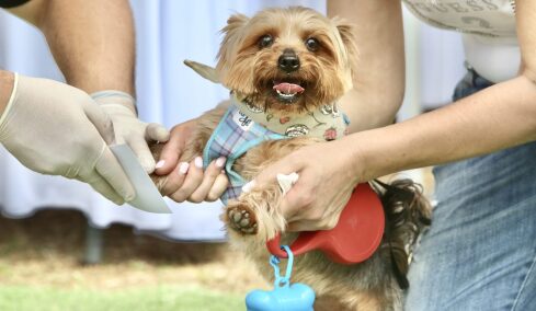 A Day With My Pet: Η πιο fun γιορτή του topetmou.gr, το Σάββατο στην Πετρούπολη