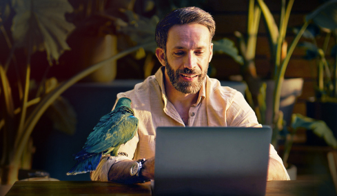 Nova fiber προγράμματα για work from home, gaming και streaming