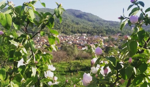 Η Ελένη άφησε την Αθήνα για τα τριαντάφυλλα της Λέσβου και δημιούργησε προϊόντα με διεθνείς διακρίσεις