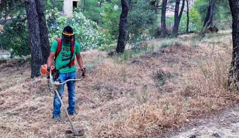 Τι αλλάζει στους καθαρισμούς των οικοπέδων με το νέο νομοσχέδιο - Πότε λήγει η προθεσμία για τους ιδιοκτήτες