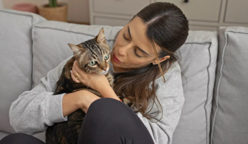 Τι νιώθει η γάτα σας όταν την παίρνετε αγκαλιά