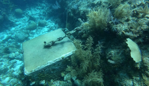 Η υποβρύχια «χαμένη πόλη» των 6.000 ετών μπορεί να αλλάξει όλα όσα γνωρίζαμε για την ιστορία
