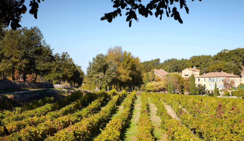 Château Miraval: Μπαίνοντας στο άδυτο του κρασιού του Μπραντ Πιτ