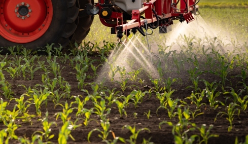 Το πασίγνωστο φαρμακευτικό φυτό για δυνατή μνήμη – Πολύτιμος σύμμαχος κατά της άνοιας
