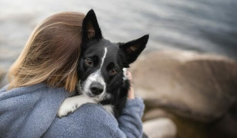 Ποιες είναι οι συμπεριφορές που μοιάζουν με αυτισμό στα ζώα: Επιστήμη ή μύθος;