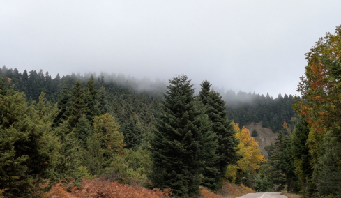 Φουρνά Ευρυτανίας: Η Βασιλική και ο Στέφανος, νέοι κάτοικοι του χωριού που ζωντάνεψε ξανά, άνοιξαν τη δική τους επιχείρηση