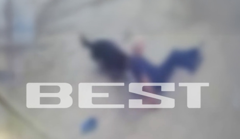 Η στιγμή που το ροτβάιλερ επιτίθεται στον ιδιοκτήτη του στην Καλαμάτα - Ο σκύλος τον έσερνε, τον δάγκωνε με μανία και τον τραυμάτισε σοβαρά