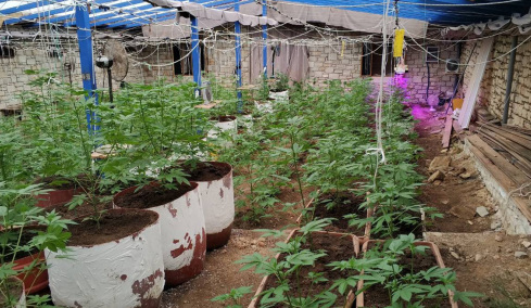 Κρήτη: Από τις ζωοκλοπές στη χασισοκαλλιέργεια και το εμπόριο κοκαΐνης - Πώς στηρίζεται το οργανωμένο έγκλημα