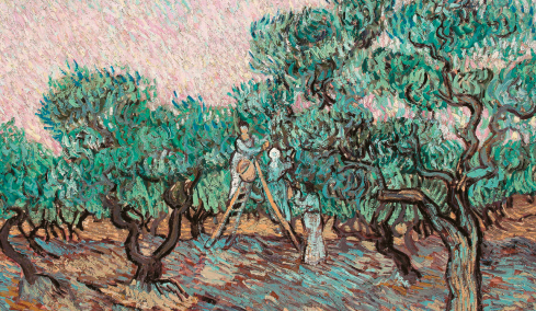 Το Μουσείο Γουλανδρή στα δικαστήρια για τα «Eλαιόδεντρα» του Βαν Γκογκ