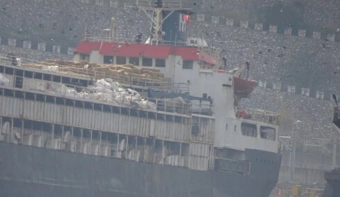 Παγιδευμένες στο πλοίο παραμένουν χιλιάδες αγελάδες «χωρίς χαρτιά» στην Τουρκία - Τουλάχιστον 58 πέθαναν, άλλες 140 γέννησαν
